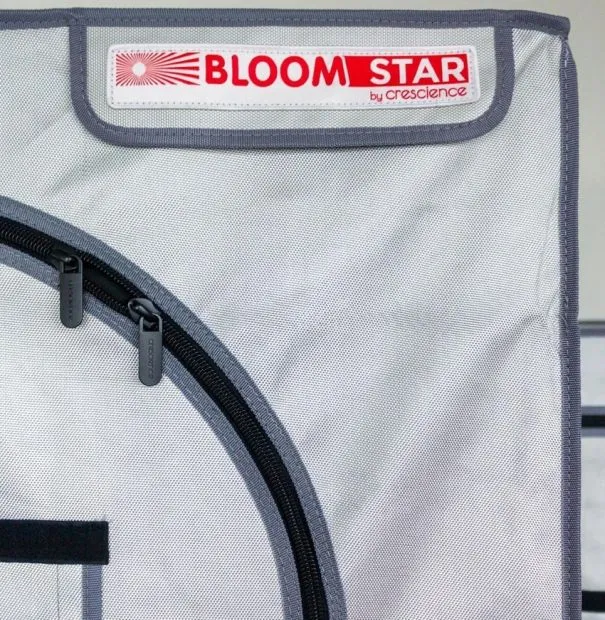 Bloomstar Box S - 60 x 60 x 160 cm