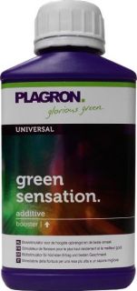 Plagron Green Sensation 100ml Blütestimulator